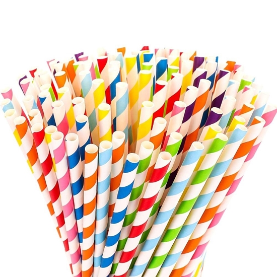 Image sur Paquet de 100 Pailles en papier biodégradables de couleurs assorties